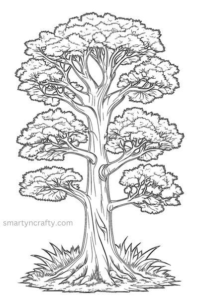 18 Adult Tree Coloring Pages: Coloring Nature's Canopy - Smarty n'Crafty Family Tree Coloring Page, Tree Drawing With Color, Trees Coloring Pages, Trees Sketch, Drawing Trees, Soothing Images, Tree Coloring, Giant Canvas, Tree Sketch