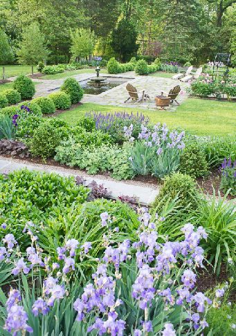 Backyard Garden Beds, Backyard Garden Layout, Garden Walkway, Formal Garden, Iris Garden, Garden Shrubs, Formal Gardens, Perennial Garden, Gorgeous Gardens