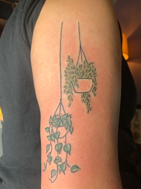 Hanging plants with color Hang Tattoo Women, Simplistic Plant Tattoo, Tattoos Of Plants, Tiny Potted Plant Tattoo, Trailing Plant Tattoo, Plant In A Pot Tattoo, Plant Neck Tattoo, Mini Plant Tattoo, Plant Tattoo Drawing