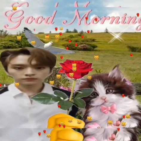 #leeknow #minho #skz #straykids #goodmorning Skz Good Morning, Angel Meme, Birthday Captions, Good Morning Picture, Morning Pictures, Lee Know, K Pop, Stray Kids, Good Morning