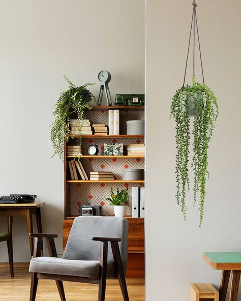 Elevate your decor with our Hanging Ivy Necklace. 🌿 Suspended by a leather cord in a ceramic vase, it requires no water, no sunlight, and no maintenance! The perfect accent piece for your home or office! 🏡🖥️ Discover all our other hanging plants at www.lepresent.com. ✨ ____ Rehaussez votre décor avec notre Collier de lierre suspendu. 🌿 Accroché par une corde en cuir dans un vase en céramique, il ne nécessite ni eau, ni lumière du soleil, ni entretien ! La pièce d'accent parfaite pour votre ... Ivy Plant, Ivy Plants, Hanging Necklaces, Green Ivy, Artificial Plants, Ceramic Vase, Accent Pieces, Ivy, Seasonal Decor