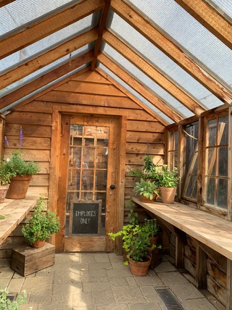 Log Cabin Greenhouse, Greenhouse With Woodstove, Log Greenhouse Diy, Greenhouse Interiors Layout, Pallet Wood Greenhouse, Outsunny Greenhouse Ideas, Recycled Window Greenhouse Wood, Log Cabin Exterior, Best Greenhouse