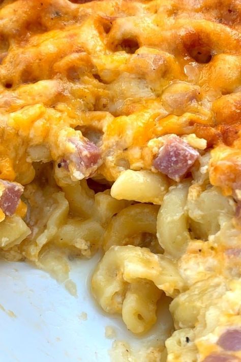 Casserole dish of oven baked mac and cheese with ham Ham And Cheese Mac And Cheese, Ham Mac And Cheese Casserole Easy Recipes, Mac And Cheese And Ham Casserole, Baked Mac And Cheese Recipe With Ham, Ham Pasta Casserole Recipes, Ham And Mac And Cheese Casserole, Macaroni And Ham Casserole, Ham And Cheese Casserole Recipes, Macaroni Cheese And Ham Casserole