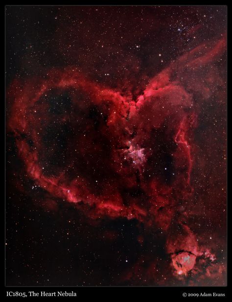 heart nebula Heart Nebula, Carina Nebula, Hubble Telescope, Orion Nebula, Hubble Space, Space Photos, Space Images, Space Pictures, Hubble Space Telescope