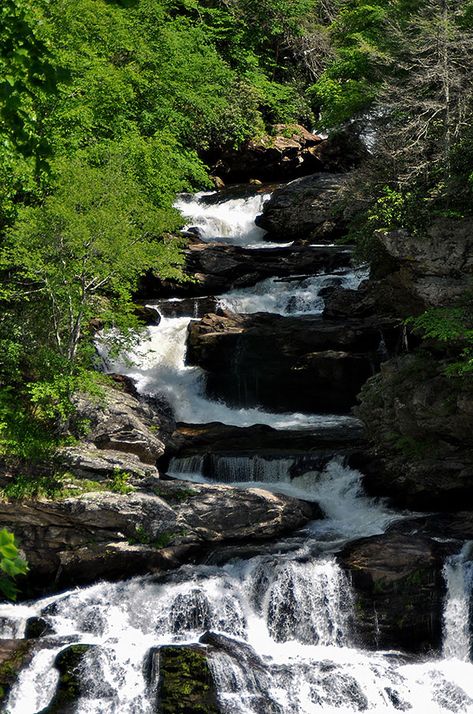 Waterfalls WNC - Discover Franklin, North Carolina Franklin North Carolina, Nc Waterfalls, Franklin Nc, Laurel Falls, Mountain Waterfall, East Coast Travel, Beach Music, Tourism Development, Nc Mountains