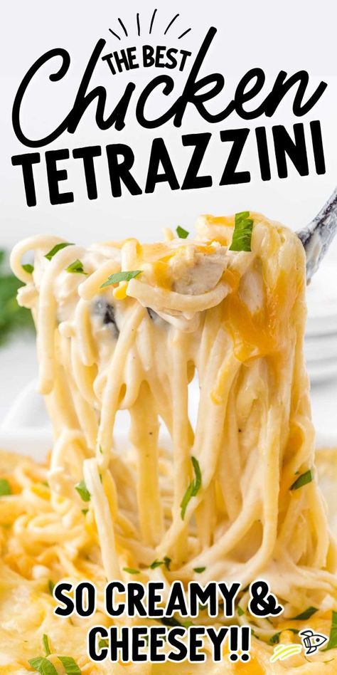 Creamy Chicken Tetrazzini, Chicken Tetrazzini Casserole, Homemade White Sauce, Easy Chicken Tetrazzini, Chicken Tetrazzini Recipes, Noodles Chicken, Chicken Spaghetti Recipes, Chicken Tetrazzini, Shredded Chicken Recipes