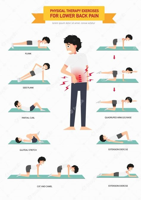 Premium Vector | Physical therapy exercises for lower back pain infographic, illustration. Exercises For Lower Back Pain, Exercises For Lower Back, Lower Back Pain Stretches, Therapy Exercises, Rehabilitation Exercises, Back Stretches For Pain, Physical Therapy Exercises, Lower Back Pain Exercises, Upper Back Pain