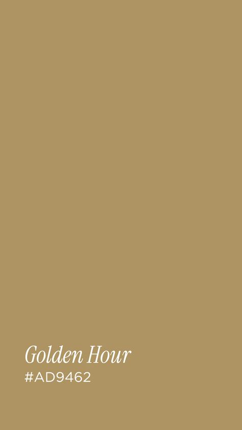 Golden Hour Color Palette, Colors For Branding, Dorm Colors, My Color Palette, Golden Painting, Harvest Gold, Lutheran Church, Color Palate, Concept Board