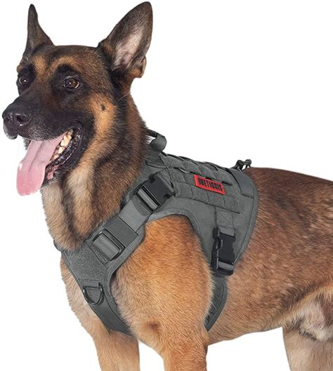 Dog Training Vest, Harness For Dogs, Dog Hiking, Tactical Dog Harness, Molle Straps, Dog Hook, K9 Dogs, Walking Harness, Hiking Training