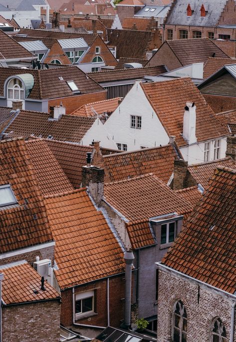 Brugge Belgium, Roof Tops, In Bruges, Starship Troopers, Bruges Belgium, Roof Top, Rooftops, Painting Photos, Drawing Ideas