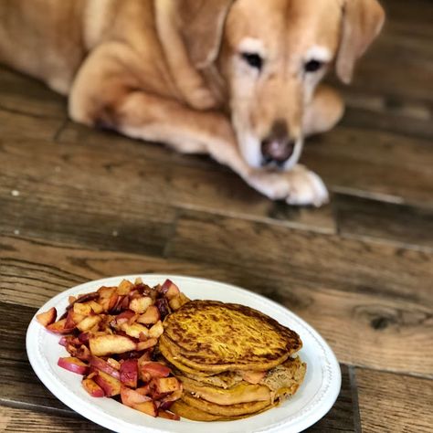 Pumpkin Pancakes For Dogs, Dog Pancakes Recipes, Dog Pancakes, Cat Breeding, Pumpkin Breakfast, Her Royal Highness, Dog Pumpkin, Doggie Treats, No Egg Pancakes