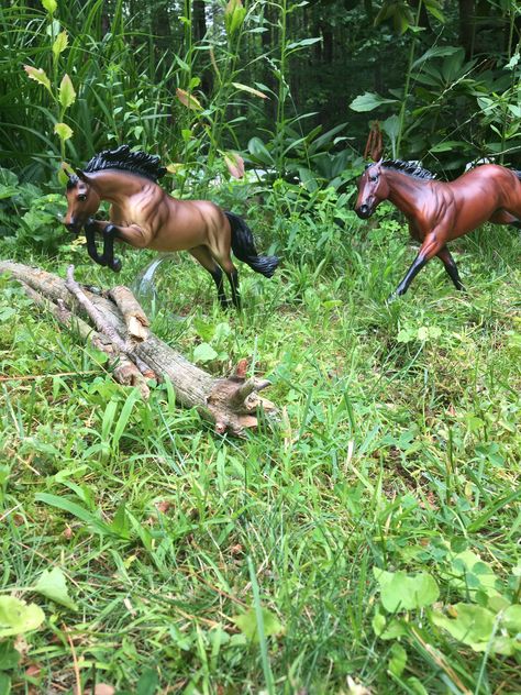 Toy Horses Schleich, Breyer Horse Photography, Star Stable Online, Schleich Horses Stable, Unusual Horse, Bryer Horses, Tiny Horses, Hobby Horses, Dog Facts