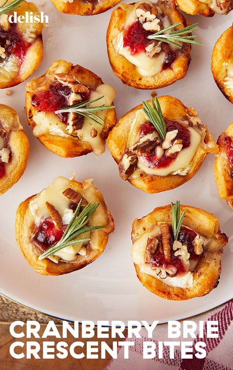 Appetizers Brie, Cranberry Brie Bites, Brie Cranberry, Cranberry Brie, Brie Bites, Holiday Appetizer, Thanksgiving Appetizers, Holiday Appetizers, Christmas Appetizers