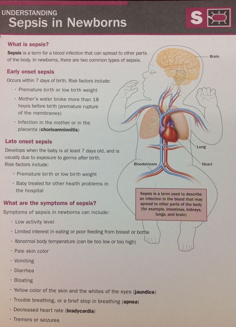 Sepsis in Newborns #sepsis #newborns Neonatal Nurse Aesthetic Wallpaper, Obstetrics Nursing Notes, Neonatal Nurse Notes, Obgyn Notes Nursing Schools, Prenatal Nursing Notes, High Risk Newborn Nursing, Maternal Newborn Nursing Notes, Newborn Assessment Nursing, Nicu Nurse Education