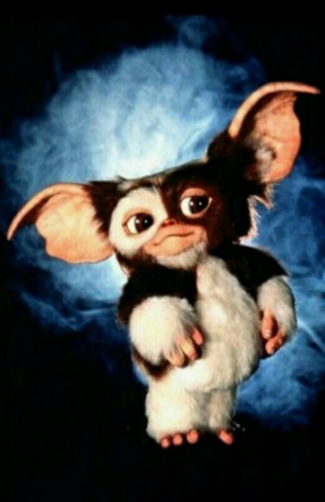 Gizmo from the movies Gremins phone wallpaper Gremlins, A Small, Blue