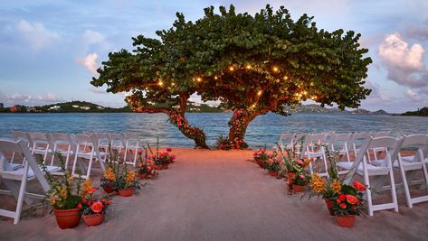 St. Thomas Wedding Venues - US Virgin Island Wedding Venues | The Ritz-Carlton, St. Thomas Ritz Carlton St Thomas Wedding, St Thomas Wedding Venues, Ritz Carlton St Thomas, Virgin Islands Wedding, St Thomas Wedding, St Thomas Virgin Islands, The Us Virgin Islands, Virgin Island, Us Virgin Islands