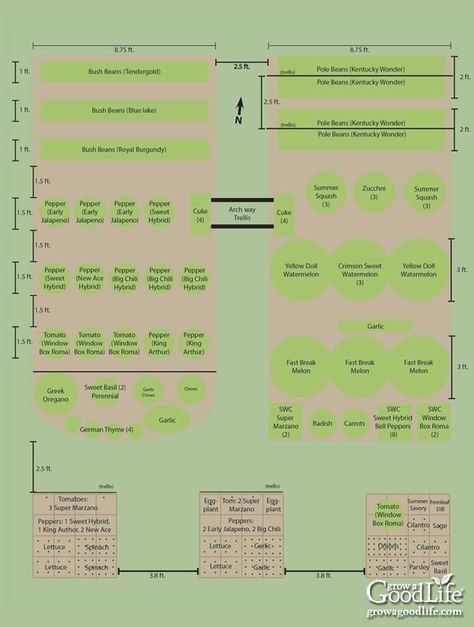 Veggie Garden Beds, Vegetable Garden Layout, Deer Resistant Garden, Vegetable Garden Beds, Garden Watering System, Garden Problems, Vegetable Garden Planner, Backyard Seating Area, Garden Site