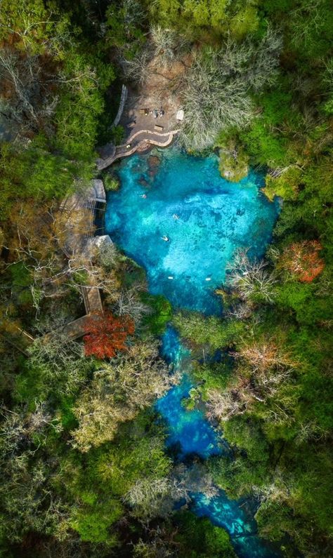 Tips for Ichetucknee Springs State Park: A Natural Lazy River in Florida - Florida Trippers Falling Waters State Park Florida, Ichetucknee Springs State Park, Lake Louisa State Park Florida, Ichetucknee Springs Florida, Southern Getaways, Ruskin Florida, Crystal River Florida, Disorder Quotes, Crunchy Leaves