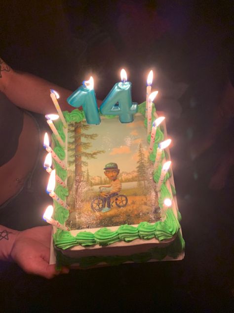 Tyler The Creator Themed Birthday Party, Cakes For 14th Birthday, Birthday Tyler The Creator, Tyler The Creator Birthday Party Theme, Tyler The Creator Birthday Cake, Tyler The Creator Cake Ideas, Tyler The Creator Cake, Tyler The Creator Birthday, Album Cake