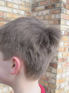 How to fix your little boy's turkey tail/cow lick/swirl Cowlick Hairstyles, Baby Boy Haircut, Hair Stages, Useless Facts, Kids Haircuts, April Rose, Tail Hairstyle, Home Stuff