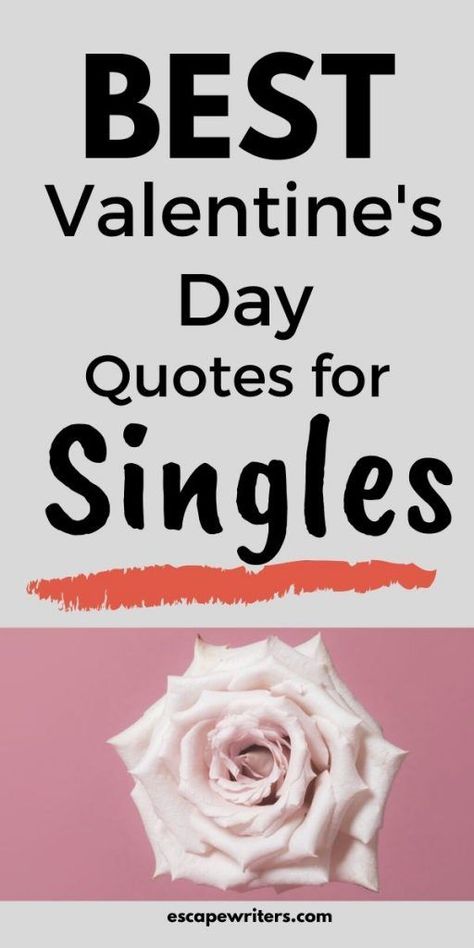 Don't you find a valentine? If you are alone on this valentine' day then read these best quotes about being single on Valentine's day. These quotes makes you feel that singlehood is not bad and girlfriend or boyfriend is not that important as you in your life.#valentinesday#quotes #love #single Happy Valentine’s Quotes, Single People On Valentines Day, Singles Day Quotes, Valentine’s Day Single Quotes, Funny Valentines Day Quotes Single Jokes, Anti Valentines Day Quotes Hilarious, Valentines Single Humor, Single Valentines Day Quotes Funny, Valentine For Singles