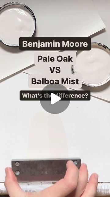 Karolina De Costa on Instagram: "What is the difference between Benjamin Moore Pale Oak and Balboa Mist?  PALE OAK: This light warm gray has a creamy beige undertone without reading too pink or violet. With an LRV of 68.64 it is a great option to use throughout all interior spaces without feeling heavy - even in north facing rooms. Pale Oak will work in both traditional and modern spaces. Pair with medium to dark tone woods, travertine, terra cotta and other natural stones. For trim and woodwork I love the crisp contrast of Chantilly Lace. BALBOA MIST: Compared to Pale Oak Balboa Mist has an LRV of 65.53 so it is slightly darker with a more pronounced beige undertone. In certain lights, especially north facing rooms, it can flash a hint of blush or violet. In south facing rooms or Chantilly Lace And Pale Oak, Balboa Mist Benjamin Moore, North Facing Rooms, Pale Oak Benjamin Moore, Benjamin Moore Pale Oak, Chantilly Lace Benjamin Moore, Balboa Mist, Light Paint Colors, Pale Oak