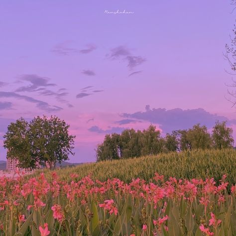 Sunset Painting Aesthetic, Pink Sky Landscape, Eerie Photography, Pink Landscape, Calming Images, Make Yourself Happy, Pink Photography, Pink Nature, Dark Paradise