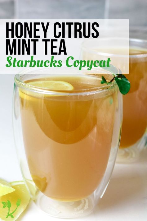 Copycat Honey Citrus Mint Tea, Honey Citrus Mint Tea Recipe, How To Make Starbucks Honey Citrus Mint Tea, Starbucks Citrus Mint Tea, Lemon Green Tea Recipe, Starbucks Copycat Honey Citrus Mint Tea, Starbucks Honey Citrus Mint Tea Recipe, Honey Citrus Mint Tea Starbucks, Hot Green Tea Recipes