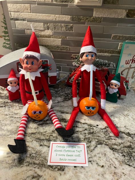 Elf Oranges, Elf With Oranges, Elf Sprinkles, Elf 2024, Elf Ideas Easy, Awesome Elf On The Shelf Ideas, Xmas Elf, Elf Antics, Elf Ideas