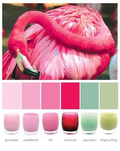 Glassy Baby, Ali Kay, Flamingo Color, Color Coordination, Color Boards, Flamingo Decor, Flamingo Pink, Color Harmony, Color Balance