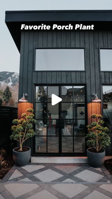 Brooke Christen on Instagram: "My favorite porch plant….Boxwoods!! I put together my favorite pots for outdoors, fertilizer and more… comment GROW!! Boxwoods come in many species and shapes! These are Japanese Boxwoods 🪴Why I love boxwoods on my porch🪴 #1- Drought-tolerant aka they forgive you if missing a watering #2- Do well in both full & partial sun #3- They can survive the winter in pots  We live in Utah (zone 5) and, we lived in Connecticut (zone 7) and potted boxwoods on my porch have done well in both areas! If we are having an extreme winter I make sure they are under a covered porch, and water weekly even in the winter. If we are having a very hot summer I water them twice a week. What’s your favorite plant for your porch???" Japanese Boxwood, Porch Plants, Backyard Garden Layout, Backyard Plants, Zone 7, Patio Planters, Zone 5, Patio And Garden, Garden Layout