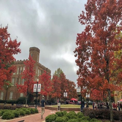 University Of Alabama Football, U Of Alabama, University Of North Alabama, Alabama A&m University, Bama Aesthetic, University Of Alabama Aesthetic, University Of Alabama Campus, Alabama Aesthetic, Alabama Football Game