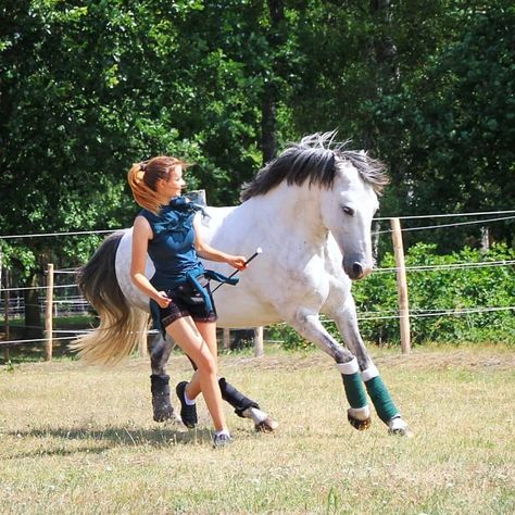 Tackless Horse Riding, Riding Reference, Horse Liberty, Horse Crazy Girl, Bareback Riding, Horse Riding Quotes, Show Jumping Horses, Equestrian Aesthetic, Horse Anatomy