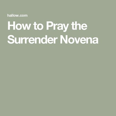 How to Pray the Surrender Novena Surrender Novena, Novenas Catholic, Servant Of God, Letters To God, Prayer For My Children, Surrender To God, Novena Prayers, Thy Kingdom Come, In His Arms