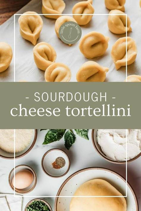 Homemade Sourdough Tortellini, Sourdough Starter Pasta, Sourdough Pasta Dough, Sour Dough Pasta, Homemade Tortellini Recipes, Sourdough Discard Cheese Bread, Big Dinner Ideas Families, Sourdough Discard Pasta, Sourdough Dinner Ideas