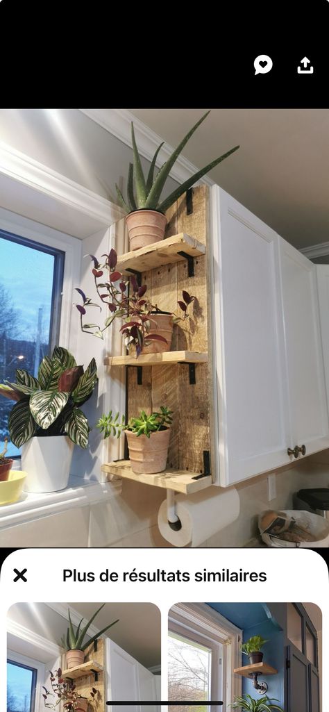 Plants On Side Of Kitchen Cabinet, Diy Plant Cabinet Indoor, Ideas For Home Decorating, Kitchen Plant Shelf, Kitchen Above Cabinet Decor, Shelves On Side Of Kitchen Cabinet, First Home Ideas, Diy Kitchen Decor Ideas, Above Kitchen Cabinet