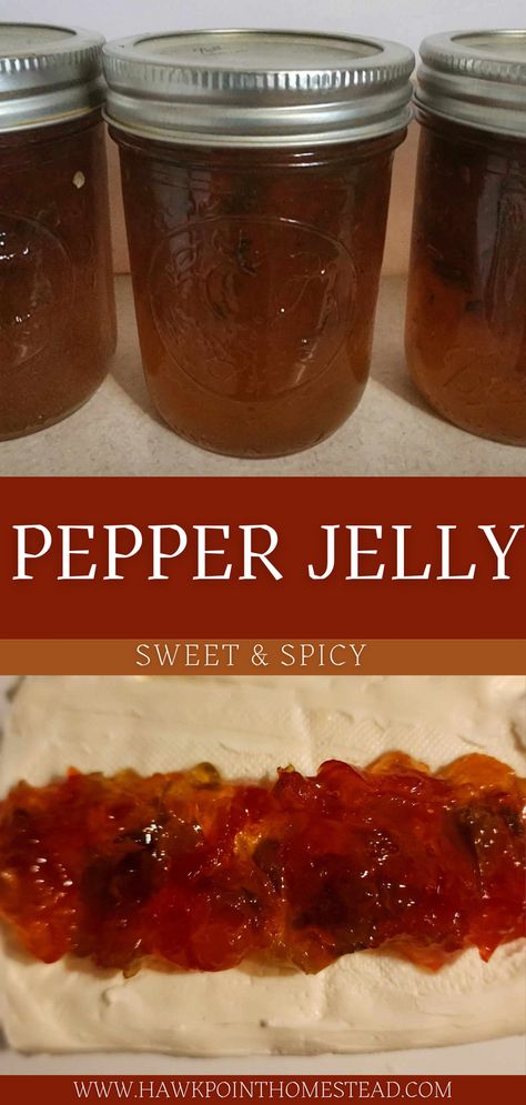 This sweet and spicy pepper jelly recipe is an easy recipe and results in such a delightful and delicious jelly. The pepper jelly is so wonderful to serve at any get-together. Pair it with cream cheese and crackers and no one can resist! Mild Pepper Jelly Recipe, Easy Pepper Jelly Recipe, Easy Pepper Jelly, Spicy Pepper Jelly, Homemade Chili Beans, Bourbon Bbq Sauce Recipe, Red Pepper Jelly Recipe, Pepper Jelly Recipe, Pepper Jelly Recipes