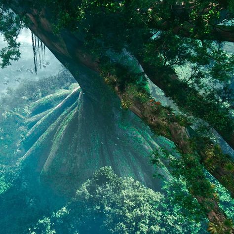 Home Tree Avatar, Avatar 2009 Aesthetic, Hometree Avatar, Avatar Pandora Nature, Pandora Jungle, Avatar Tree, 2009 Aesthetic, Visuals Aesthetic, Oc Lore