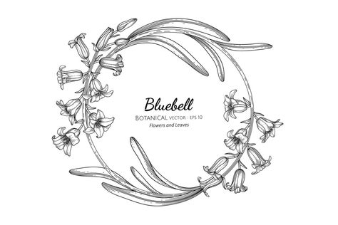 Bluebell Flower, Blue Bell Flowers, Flower Line Drawings, Flower Logo Design, Circle Drawing, Flower Circle, Flower Logo, Wedding Logos, Flower Clipart