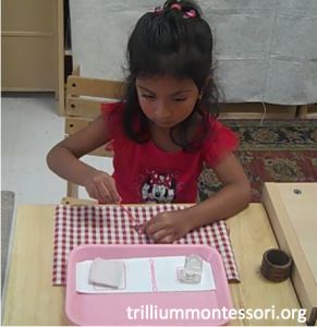 How to Start a New Class - Trillium Montessori New Class, Montessori, Back To School, To Start, Lunch Box, The First, I Hope, How To Plan