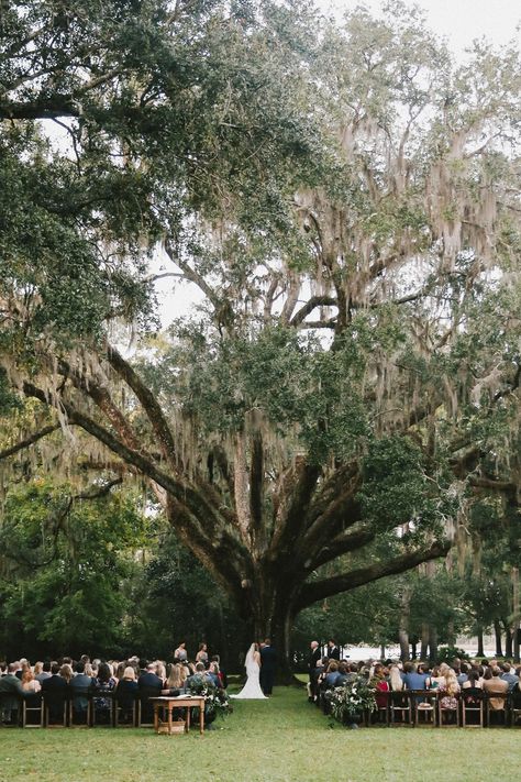 Eden Gardens State Park, Grayton Beach Florida, Bayou Wedding, Wedding Times, Willow Tree Wedding, Moss Tree, Eden Gardens, State Park Wedding, 30a Wedding