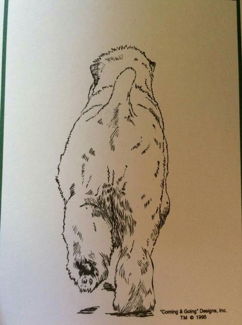 Coming & Going Walking A Dog Drawing, Wheaten Terrier Tattoo, Goldendoodle Pictures, Bedlington Terrier Drawing, Dog Stencils, Wheaten Terrier Drawing, Soft Wheaten Terrier, Golden Retriever Ink Drawing, Terrier Drawing