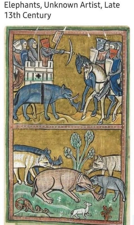 Twitter Thread: Medieval Artists Had No Idea What Animals Looked Like - Memebase - Funny Memes Medieval Images, Funny Medieval, Real Animals, Medieval Drawings, Herd Of Elephants, Elephant And Castle, Medieval Paintings, Elephant Illustration, Elephant Drawing