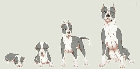 Pitbull Drawing, Drawing Wolf, Dog Design Art, Canine Drawing, Pitbull Art, Wolf Ears, Canine Art, Creature Drawings, Anime Animals