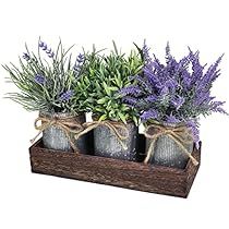 Guidance Office, Lavender Ideas, Farmhouse Table Centerpiece, Plants Arrangement, Fake Potted Plants, Farmhouse Table Centerpieces, Grass Plants, Plastic Business Cards, Spring Porch Decor