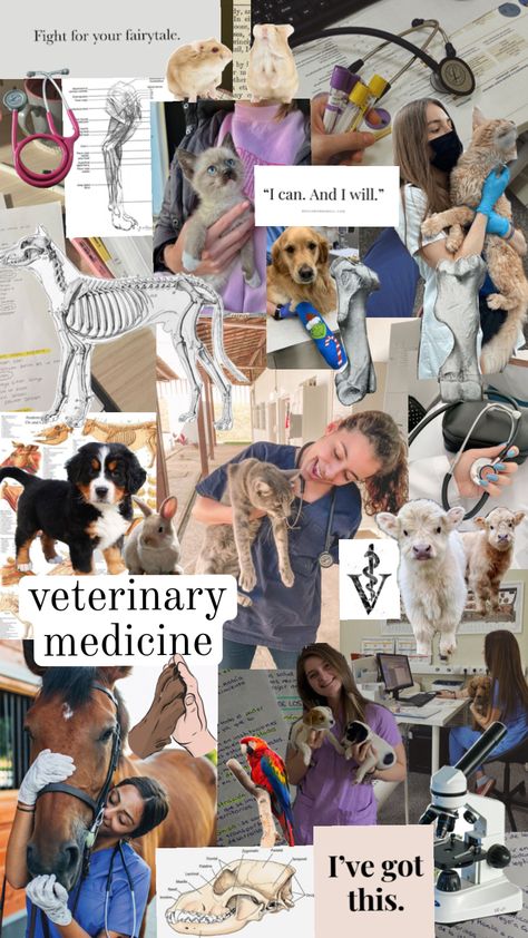 #veterinary #veterinarymedicine #dreamjob #savinganimals #vetmed #animals #wallpaper #myfirtshufffle Veterinarian Aesthetic Collage, Vet Poster Ideas, Veterinary Nurse Aesthetic, Veterinary Vision Board, Vet Scrubs Aesthetic, Vet Collage, Vet Tech Aesthetic Wallpaper, Vet Asthetic Pics, Vet Student Aesthetic Wallpaper