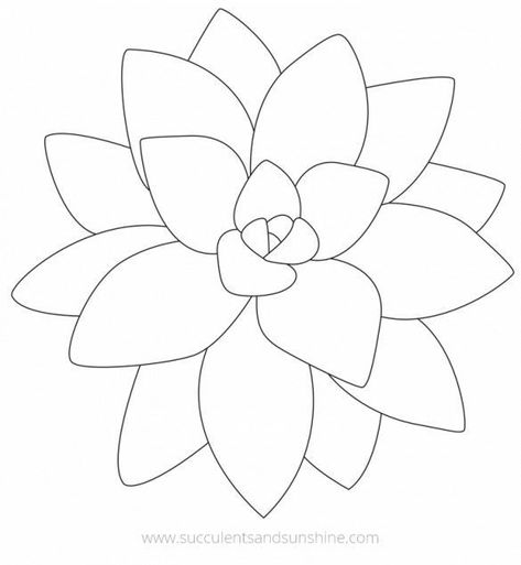 Drawing Succulents, Succulent Art Drawing, Succulent Drawing, Flower Lettering, Succulent Photography, Succulents Drawing, Succulent Painting, Succulent Art, Cactus Painting