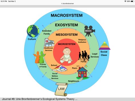 Urie Bronfenbrenner, Ecological Systems Theory, Child Development Theories, Systems Theory, Legal Services, Social Work, Child Development, Psychology, Health Care