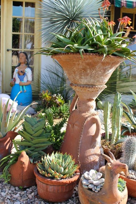 Arid Garden, Succulent Landscape, Desert Gardens, Mexican Garden, Orchid Greenhouse, Blooming Cactus, Green Houses, Home Yard, Cactus Succulents