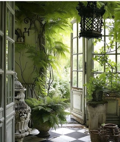 Fern Future Home Vibes, Plant Lady, French Country House, French Country, Room Inspo, Country House, Beautiful Homes, Living Room, Plants